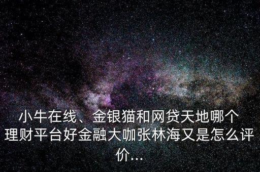  小牛在線、金銀貓和網(wǎng)貸天地哪個 理財平臺好金融大咖張林海又是怎么評價...