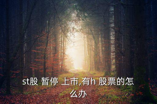 股票被暫停上市怎么辦,三板市場(chǎng)首次開(kāi)放投資者可低價(jià)買(mǎi)入股票
