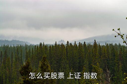 怎么購買上證指數,上證大行情指數