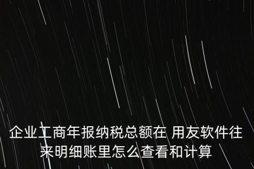 企業(yè)工商年報(bào)納稅總額在 用友軟件往來明細(xì)賬里怎么查看和計(jì)算
