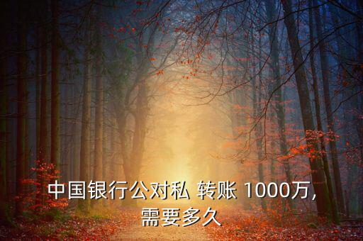 中國銀行公對私 轉賬 1000萬,需要多久