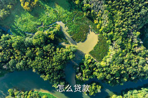 怎么借貸,小曼app-優(yōu)花花貸利率低、放款快、安全等特點(diǎn)