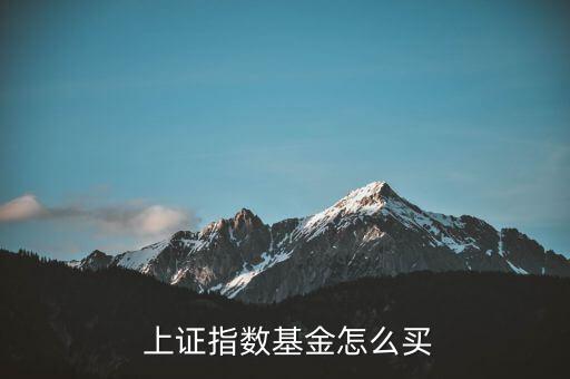  上證指數(shù)基金怎么買(mǎi)