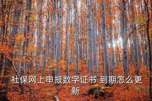 龍灣社保登記證到期怎么更換,社?？ㄟ^(guò)期怎么辦?可以這樣做!