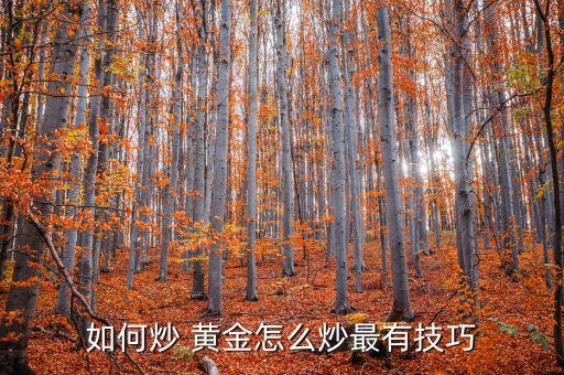 怎么炒黃金啊,網上炒黃金像炒股一樣