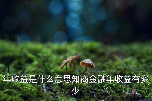 資金占用年收益是什么意思，利息支出中有個資金占用費這個是什么意思
