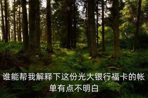 光大的賬單明細(xì)都什么意思，誰能幫我解釋下這份光大銀行福卡的帳單有點(diǎn)不明白