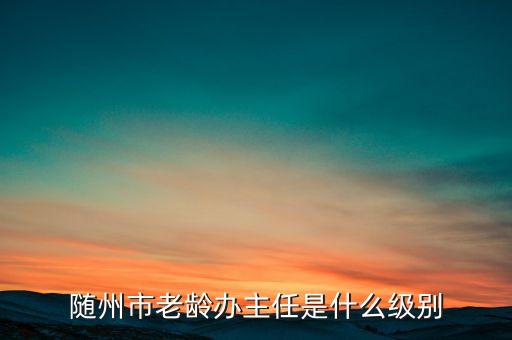 全國老齡辦副主任什么級別，全國老齡委辦公室副主任 什么級別