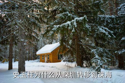史玉柱為什么去西藏，史玉柱個人簡介