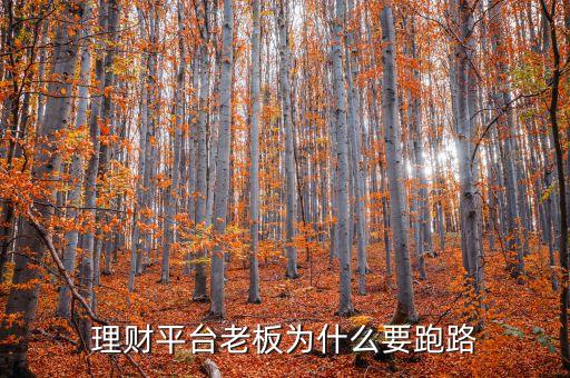 理財(cái)平臺老板為什么要跑路