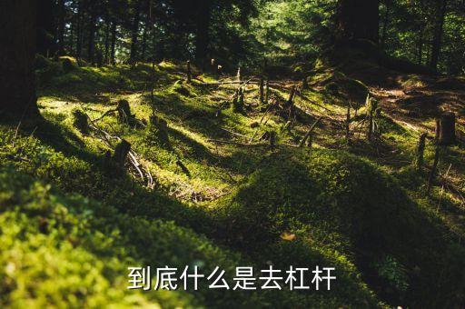 什么是去杠桿去產(chǎn)能，到底什么是去杠桿