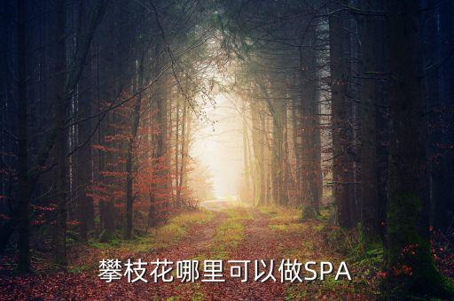 雅化集團(tuán)攀枝花恒泰做什么的，攀枝花哪里可以做SPA