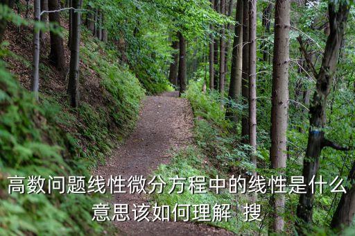 高數(shù)問(wèn)題線(xiàn)性微分方程中的線(xiàn)性是什么意思該如何理解  搜