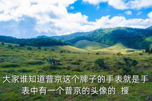 普京皮帶是什么牌子，大家誰(shuí)知道普京這個(gè)牌子的手表就是手表中有一個(gè)普京的頭像的  搜