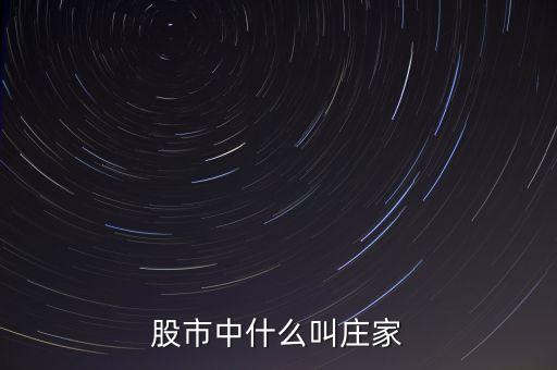 什么莊家股票，股票的莊家是指