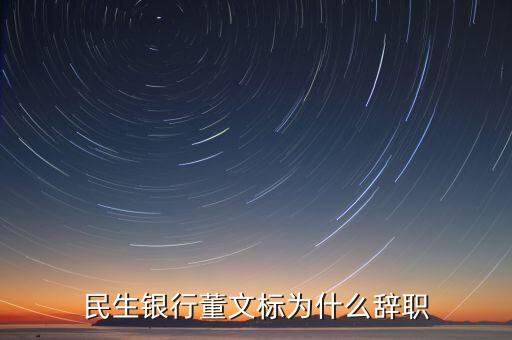 董文標(biāo)現(xiàn)在是什么職務(wù)，民生銀行董文標(biāo)為什么辭職