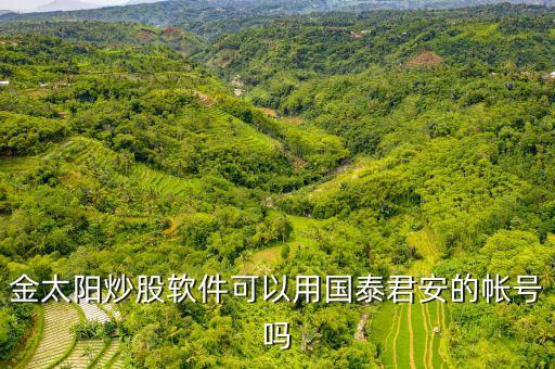 金太陽炒股軟件可以用國(guó)泰君安的帳號(hào)嗎