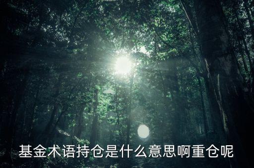 etf持倉是什么意思，基金術(shù)語持倉是什么意思啊重倉呢