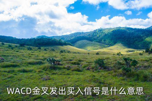 短線買入信號是什么意思，什么是短線買入