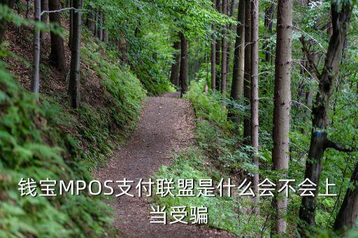 恒寶mpos是什么，錢寶MPOS支付聯(lián)盟是什么會(huì)不會(huì)上當(dāng)受騙
