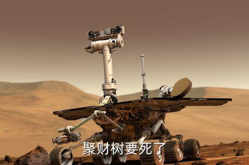 聚才樹能用什么肥，聚財(cái)樹要死了