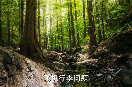 航空公司可以拒載什么傷人，憑什么飛機可以拒載