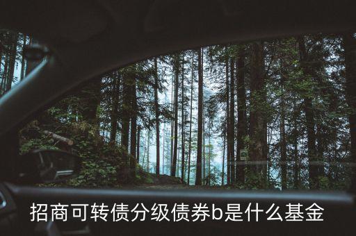 轉(zhuǎn)債b級是什么，招商可轉(zhuǎn)債分級債券b 場內(nèi)買入 場外賣出什么意思