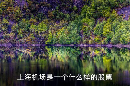 上海機(jī)場(chǎng)股票屬于什么股票，上海機(jī)場(chǎng)屬于什么行業(yè)的股票