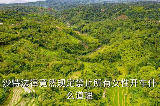 為什么沙特女人不能開車，全球唯一禁止女司機開車的是哪個國家