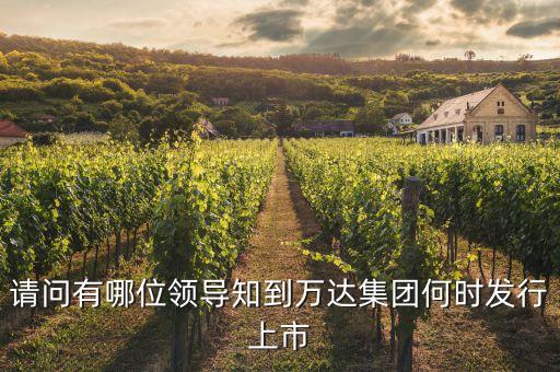 請問有哪位領(lǐng)導(dǎo)知到萬達集團何時發(fā)行上市