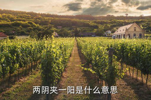 股票兩陰一陽又兩陰什么走勢(shì)，股市技術(shù)圖形兩陰一陽又兩陰后市怎樣
