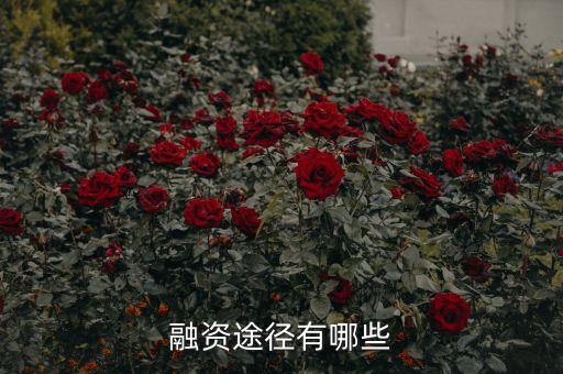 什么是民間融資，什么是融資可以用通俗易懂的方式講解嗎謝謝