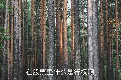 什么是行權(quán)股票，在股票里什么是行權(quán)啊
