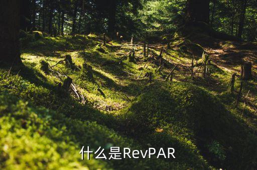 虹吸效應是什么，氣溫最高的區(qū)域是市中心這個現(xiàn)象是什么效應