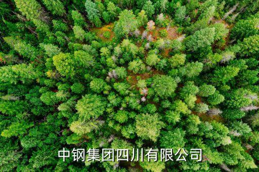 中鋼什么級(jí)別，中尉是什么等級(jí)