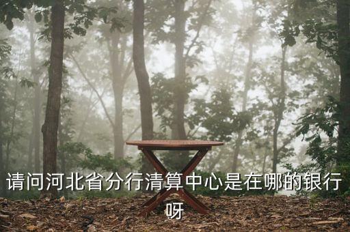 河北省分行清算中心是什么，請(qǐng)問(wèn)河北省分行清算中心是在哪的銀行呀
