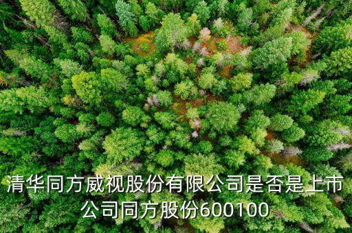 威視股份什么時候上市，威創(chuàng)股份什么時候上市