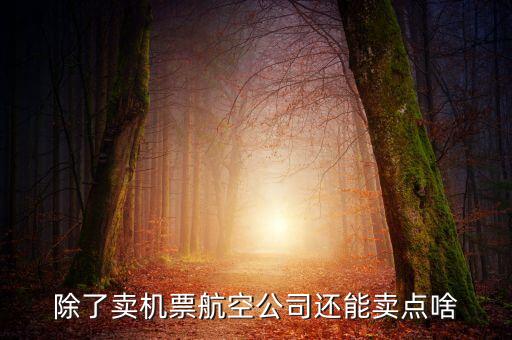 什么叫空地聯(lián)運(yùn)，昆明火車站候機(jī)