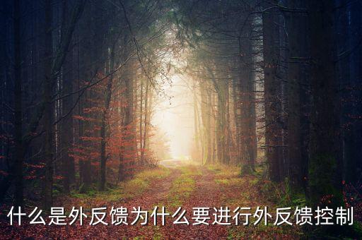 什么是機械外反饋，什么是外反饋為什么要進行外反饋控制