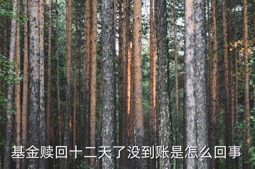 贖回成13天了為什么錢沒到賬，基金贖回成功了 為什么還沒到帳