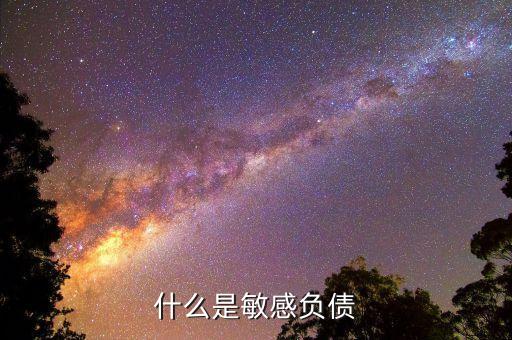 什么是直接負(fù)債，什么是直接還款
