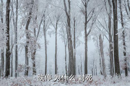 為什么跌停不封死，跌停 為什么 封死