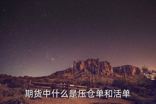 上海期貨交易所標(biāo)準(zhǔn)倉單是什么，期貨中倉單是什么