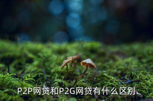 p2g與ppp有什么區(qū)別，P2G是什么意思