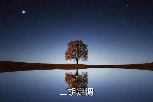 定調(diào)什么意思，二胡定調(diào)