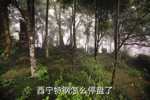 西寧特鋼為什么停牌，西寧特鋼怎么停盤了