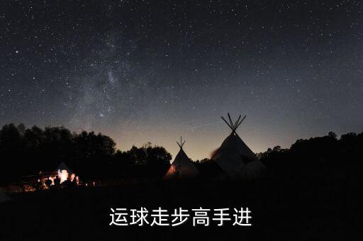 德隆治下的湘火炬戰(zhàn)略不包括什么，德隆治下的湘火炬戰(zhàn)略包括有哪些