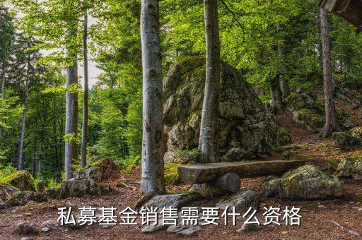 銷售基金需要什么資質(zhì)，財富公司銷售金融產(chǎn)品需要什么牌照或者資質(zhì)