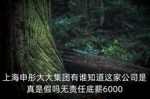 申彤大大集團賺的什么錢發(fā)工資，上海申彤大大集團有誰知道這家公司是真是假嗎無責任底薪6000