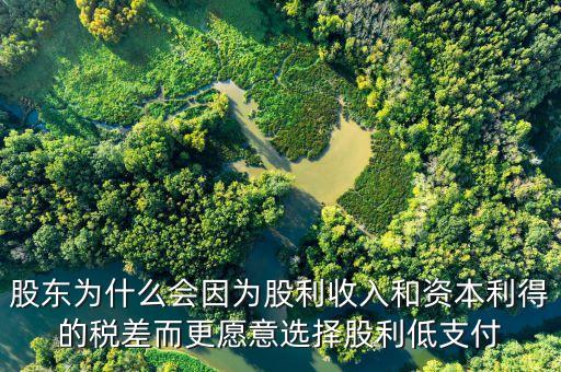 為什么發(fā)放股票股利會(huì)資本利得稅，股東為什么會(huì)因?yàn)楣衫杖牒唾Y本利得的稅差而更愿意選擇股利低支付